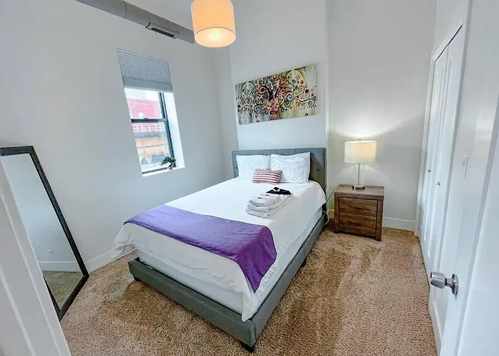 Spacious 420-friendly 2br Retreat Near Mccormick Place, Grant Park And Soldier Field Apartment Chicago