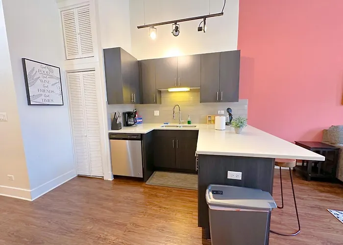 Apartment Spacious 420-friendly 2br Retreat Near Mccormick Place, Grant Park And Soldier Field Chicago